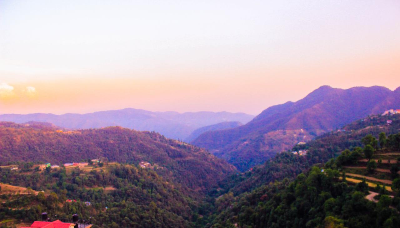 Jade Vine Resort Shimla Exterior foto